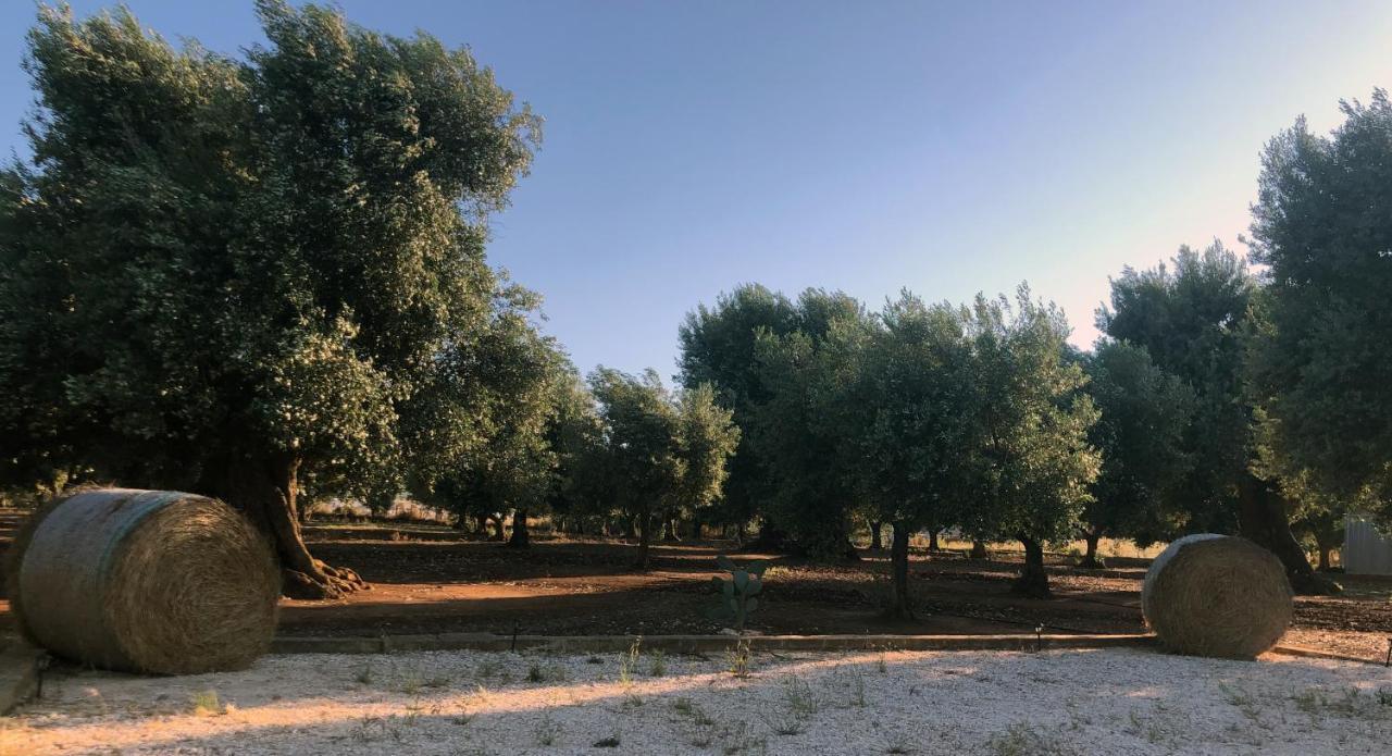 Da Annamare Villa Montalbano  Exteriör bild